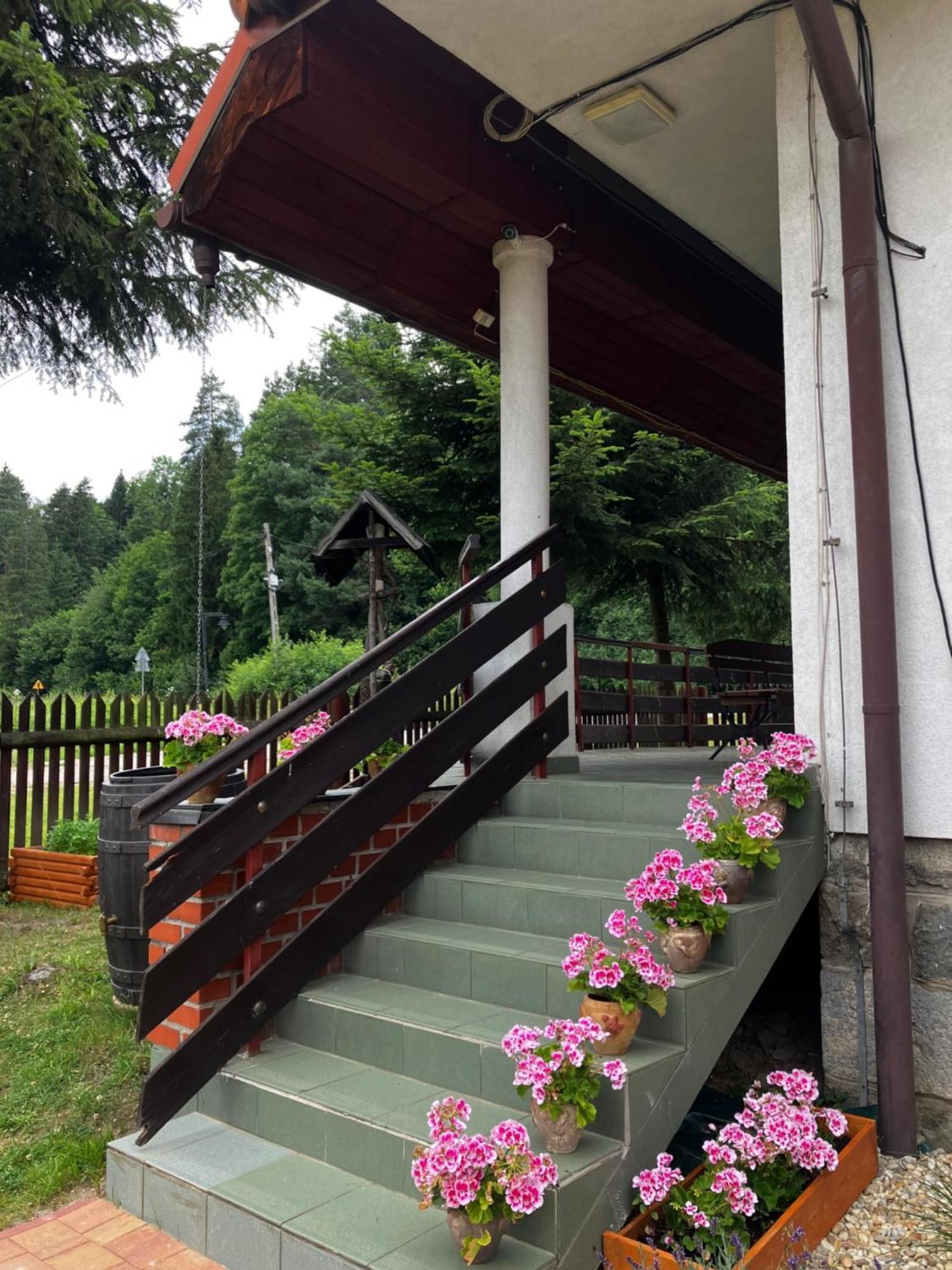 Hotel Base Camp Pieniny Niedzica Esterno foto